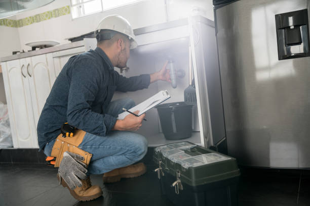 Best Residential Plumbing Services  in Blair, NE