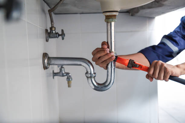 Best Clogged Drain Plumber  in Blair, NE